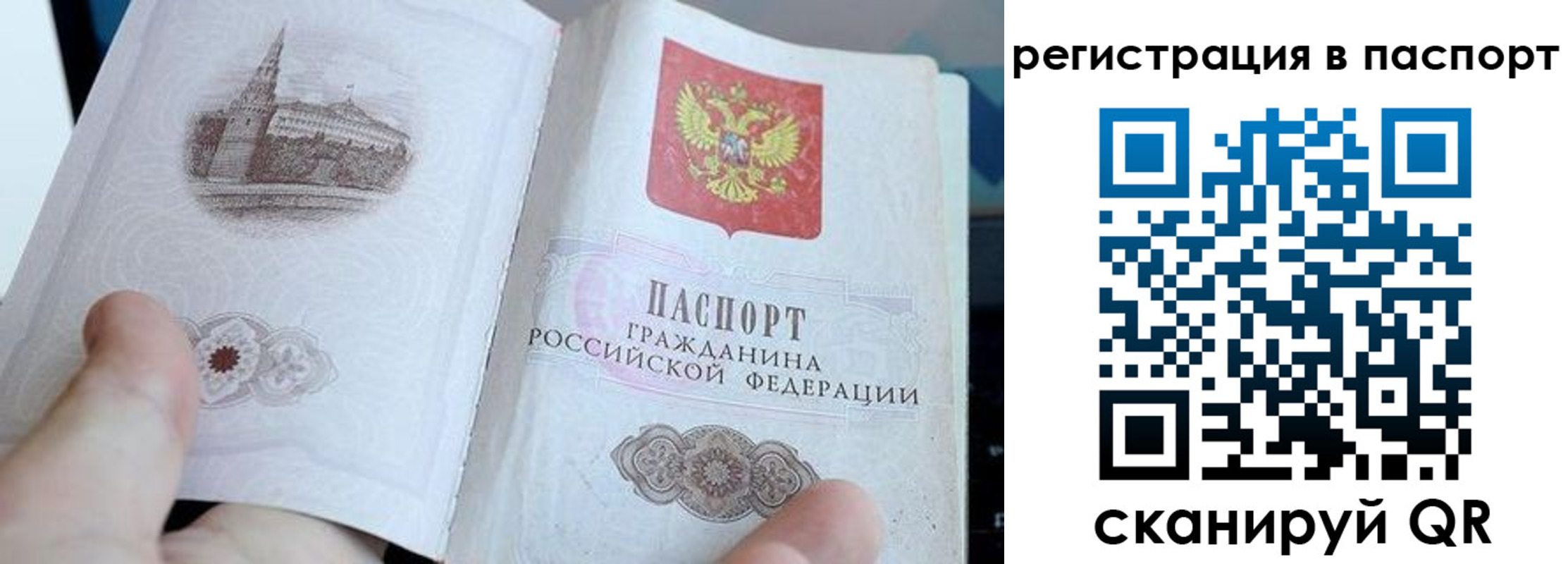 пропишу в квартире в Нововоронеже